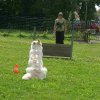obeissance 2014-08-02